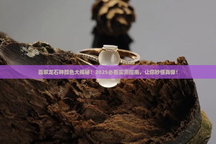 翡翠的龙石种是什么颜色
