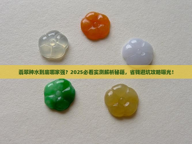什么的翡翠种水