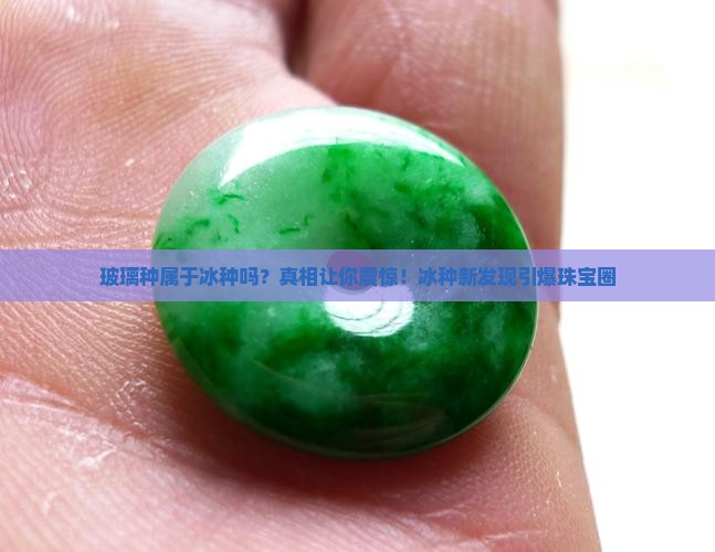 玻璃种属于冰种吗