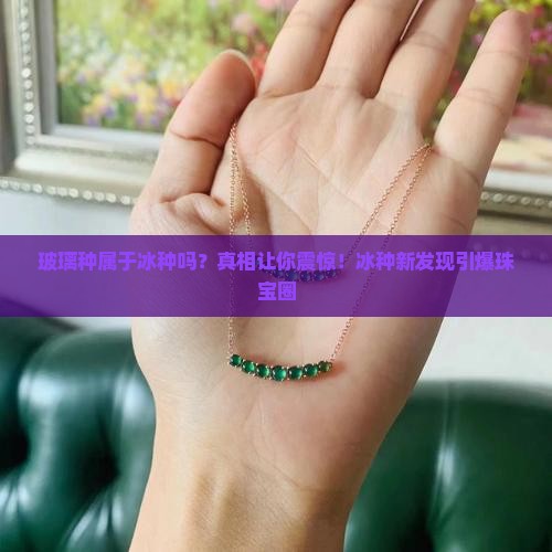 玻璃种属于冰种吗