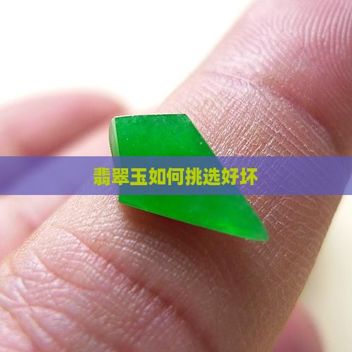 翡翠玉如何挑选好坏