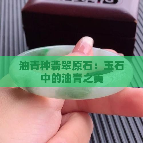 油青种翡翠的原石