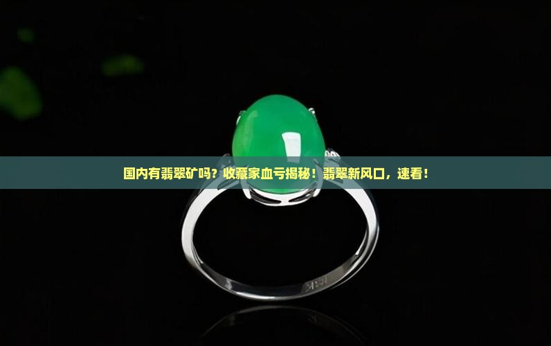 国内有翡翠矿