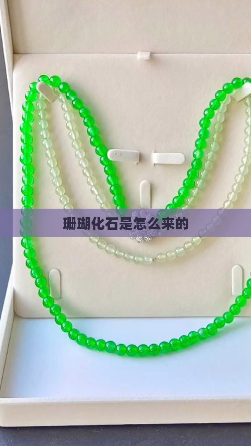 珊瑚玉是怎么来的