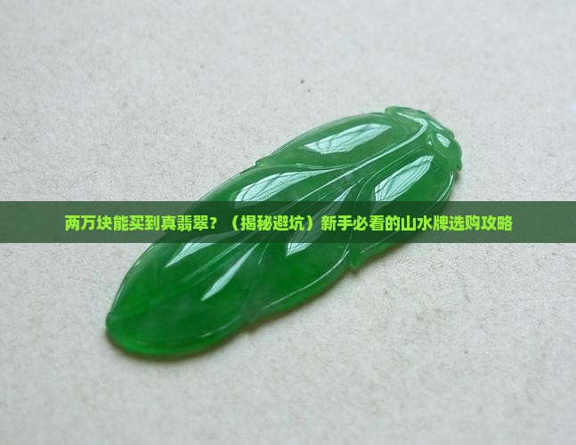 两万元的山水牌翡翠