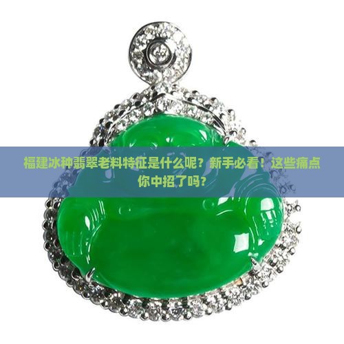 福建冰种翡翠老料特征是什么呢
