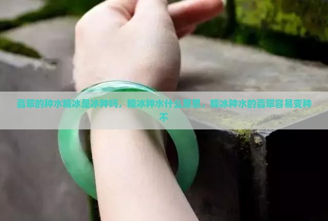 翡翠的种水糯冰是冰种吗