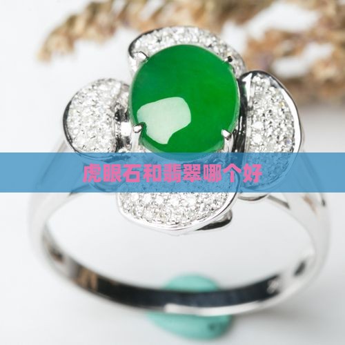 黄虎眼石手串和翡翠手镯哪个好