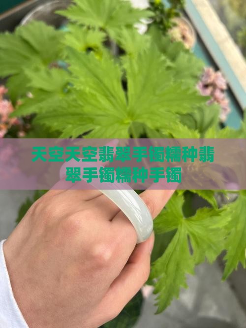 天空蓝翡翠手镯糯种毛料