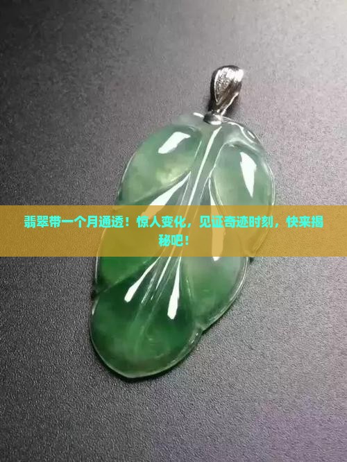 翡翠带一个月通透