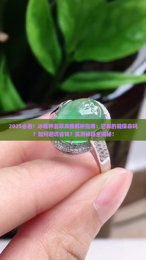 冰糯种翡翠能保命