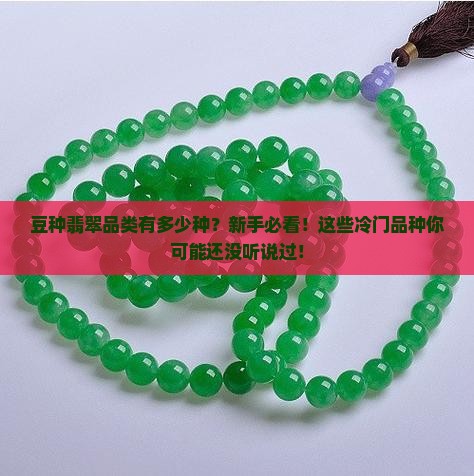 豆种翡翠品类多少种