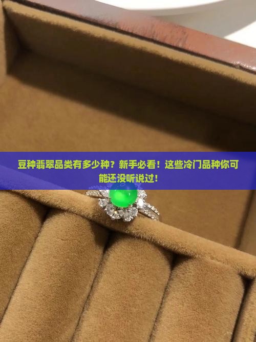 豆种翡翠品类多少种