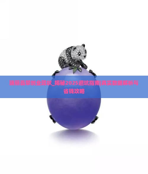 瑞丽翡翠创业现状