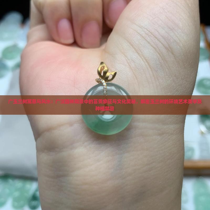 广玉兰树寓意和风水