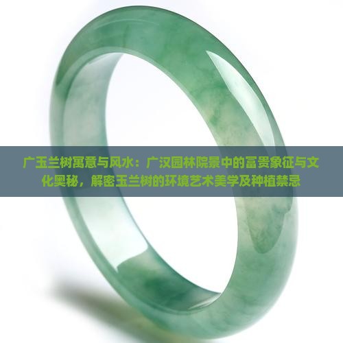 广玉兰树寓意和风水