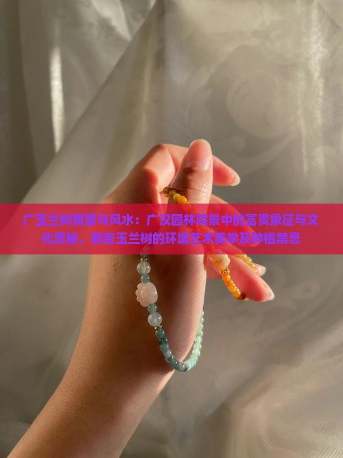广玉兰树寓意和风水