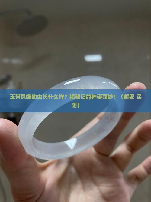 玉带凤蝶幼虫长什么样