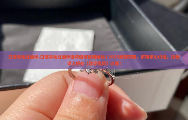白底青毛坯翡翠
