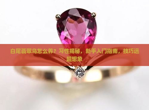 白尾翡翠乌