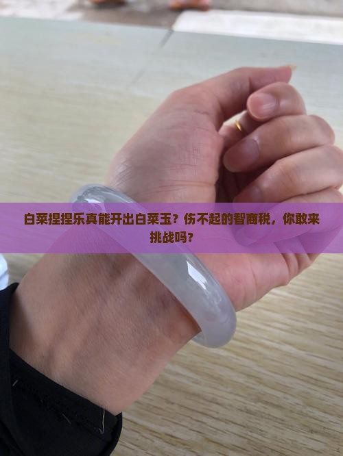 白菜捏捏乐开出白菜玉