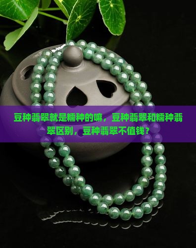 豆种翡翠就是糯种的嘛