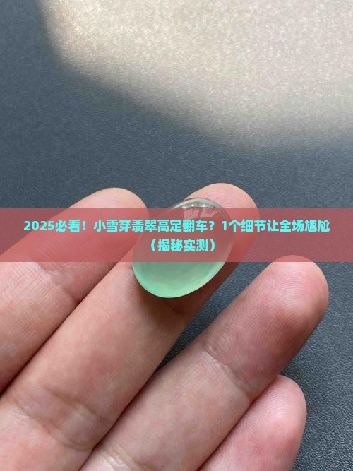 翡翠高定小雪