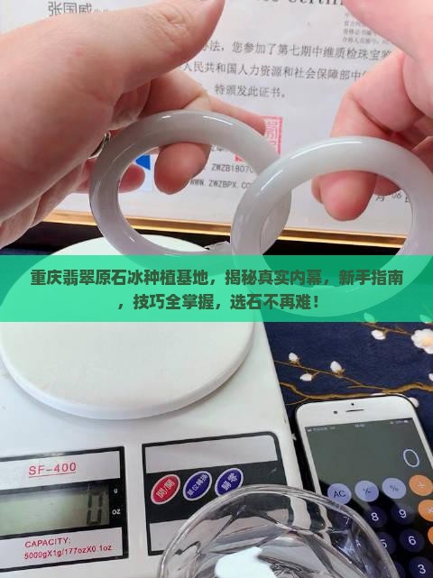 重庆翡翠原石冰种植基地
