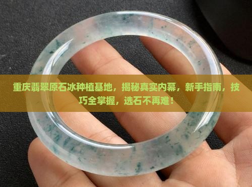 重庆翡翠原石冰种植基地