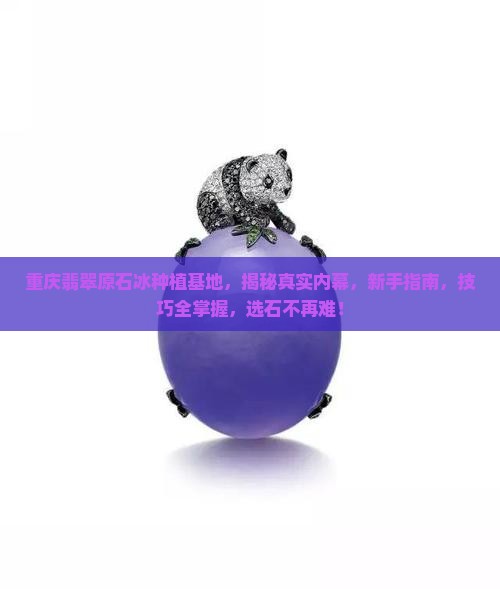 重庆翡翠原石冰种植基地