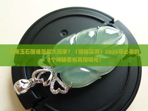 云南最大的玉石老板是谁啊