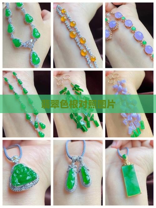 翡翠色根对照