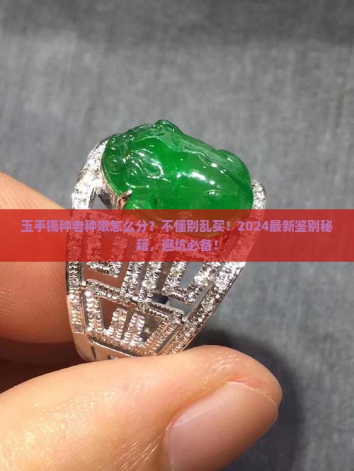 玉手镯种老种嫩怎么分