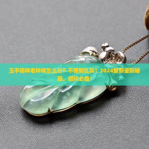 玉手镯种老种嫩怎么分