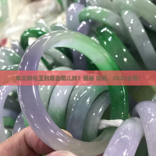 东北树化玉去什么地方找