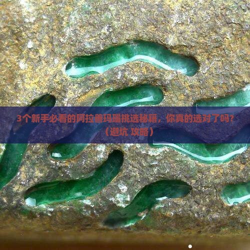 顶级玉化阿拉善玛瑙