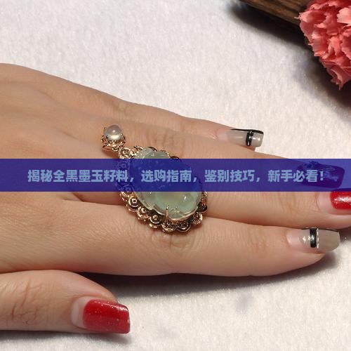 全黑墨玉籽料
