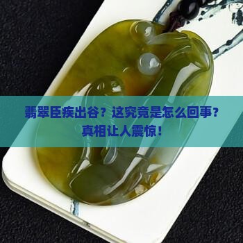 翡翠臣疾出谷