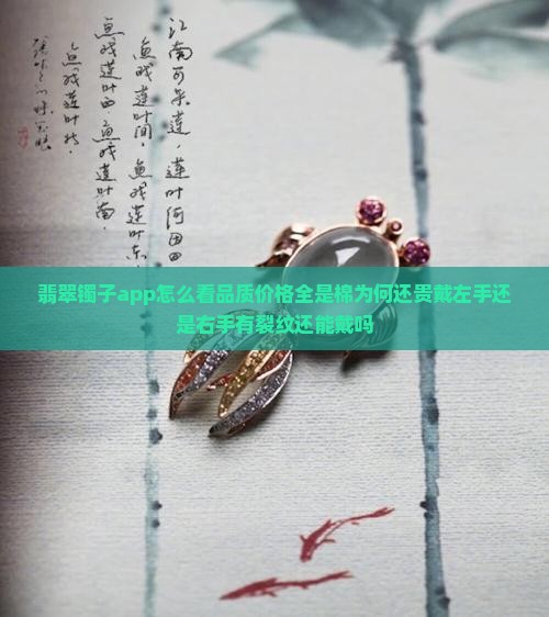 翡翠镯子app