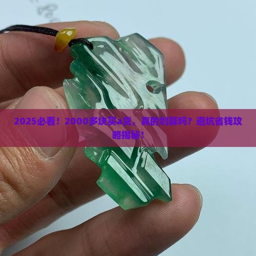 a货2000多块的好不好