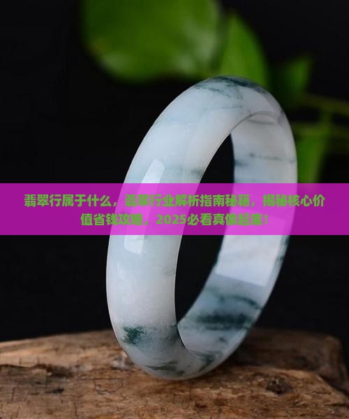 翡翠行属于什么