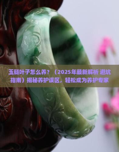 玉髓叶子怎么养
