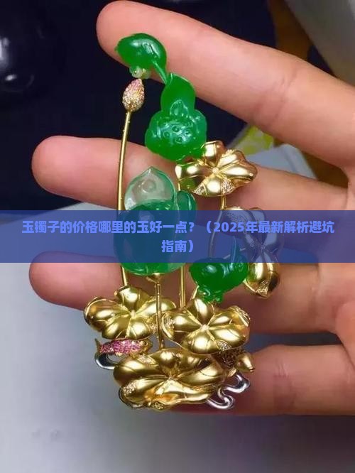 玉镯子的价格哪里的玉好一点