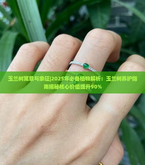 玉兰树寓意与象征