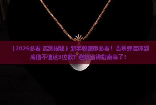 翡翠蝉活体