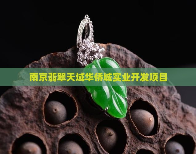 南京翡翠天誉