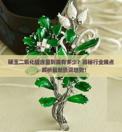 硬玉二氧化硅含量