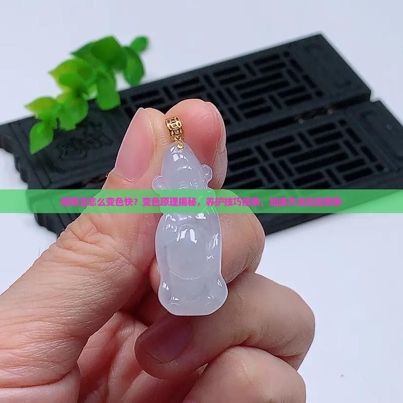 珊瑚玉怎么变色快