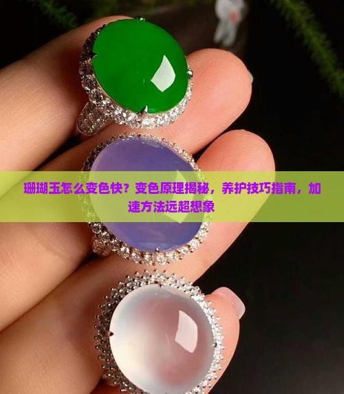 珊瑚玉怎么变色快
