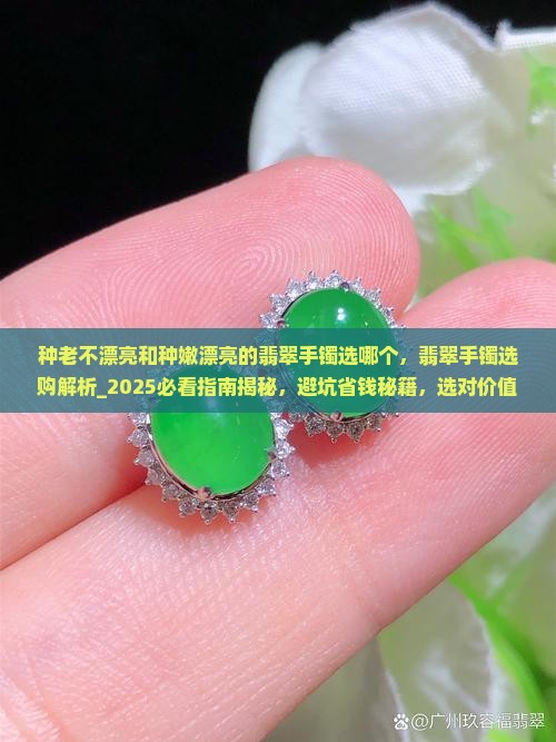 种老不漂亮和种嫩漂亮的翡翠手镯选哪个